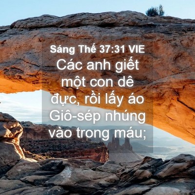 Picture 04 - Sáng Thế 37:31 VIE - Các anh giết một con dê đực, rồi lấy - Bible Verse Picture