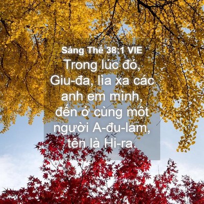 Picture 04 - Sáng Thế 38:1 VIE - Trong lúc đó, Giu-đa, lìa xa các anh em - Bible Verse Picture