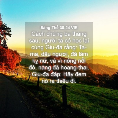 Picture 04 - Sáng Thế 38:24 VIE - Cách chừng ba tháng sau, người ta có - Bible Verse Picture