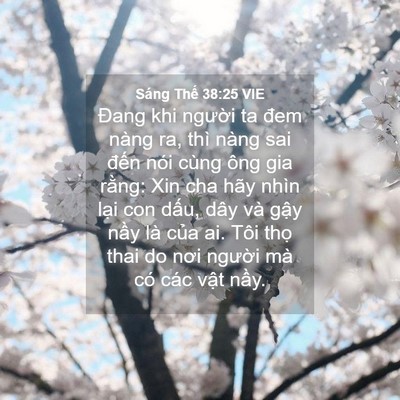 Picture 04 - Sáng Thế 38:25 VIE - Đang khi người ta đem nàng ra, thì nàng - Bible Verse Picture
