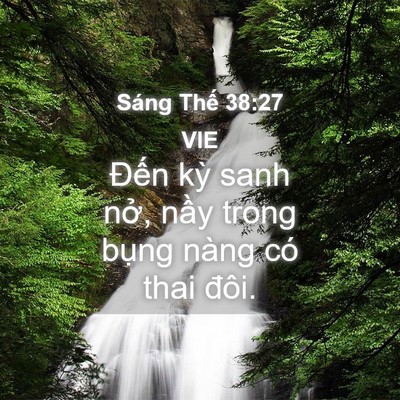 Picture 04 - Sáng Thế 38:27 VIE - Đến kỳ sanh nở, nầy trong bụng nàng - Bible Verse Picture