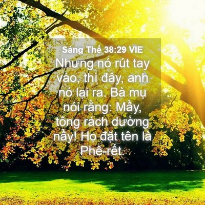 Picture 04 - Sáng Thế 38:29 VIE - Nhưng nó rút tay vào, thì đây, anh nó - Bible Verse Picture