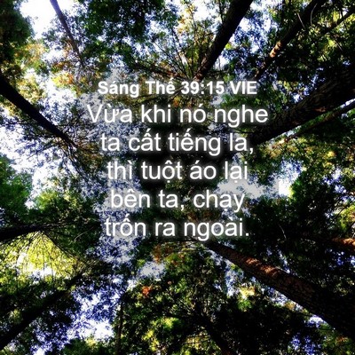 Picture 04 - Sáng Thế 39:15 VIE - Vừa khi nó nghe ta cất tiếng la, thì - Bible Verse Picture