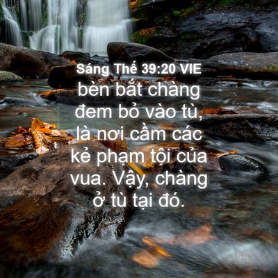 Picture 04 - Sáng Thế 39:20 VIE - bèn bắt chàng đem bỏ vào tù, là nơi - Bible Verse Picture