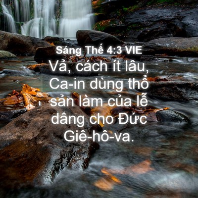 Picture 04 - Sáng Thế 4:3 VIE - Vả, cách ít lâu, Ca-in dùng thổ sản - Bible Verse Picture