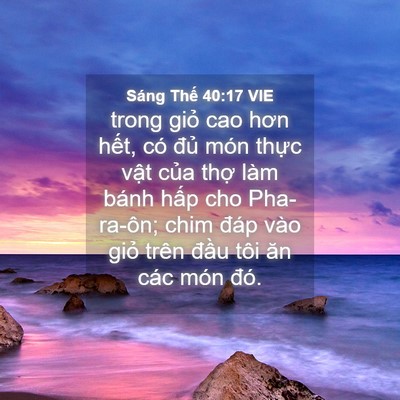 Picture 04 - Sáng Thế 40:17 VIE - trong giỏ cao hơn hết, có đủ món thực - Bible Verse Picture
