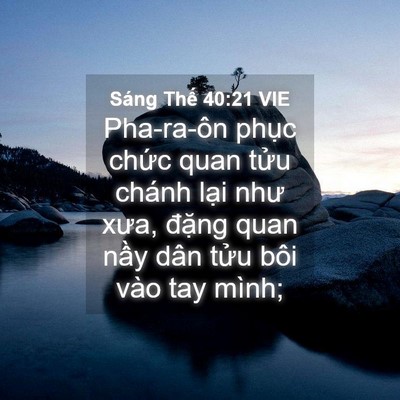 Picture 04 - Sáng Thế 40:21 VIE - Pha-ra-ôn phục chức quan tửu chánh lại - Bible Verse Picture