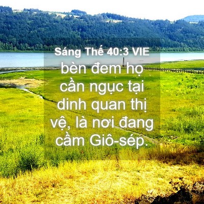 Picture 04 - Sáng Thế 40:3 VIE - bèn đem họ cần ngục tại dinh quan thị - Bible Verse Picture