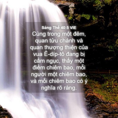 Picture 04 - Sáng Thế 40:5 VIE - Cùng trong một đêm, quan tửu chánh và - Bible Verse Picture