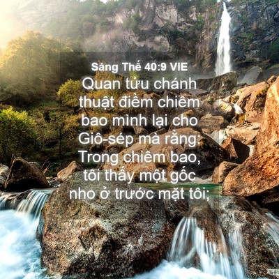 Picture 04 - Sáng Thế 40:9 VIE - Quan tửu chánh thuật điềm chiêm bao - Bible Verse Picture