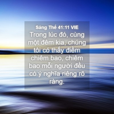 Picture 04 - Sáng Thế 41:11 VIE - Trong lúc đó, cùng một đêm kia, chúng - Bible Verse Picture