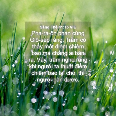 Picture 04 - Sáng Thế 41:15 VIE - Pha-ra-ôn phán cùng Giô-sép rằng: Trẫm - Bible Verse Picture