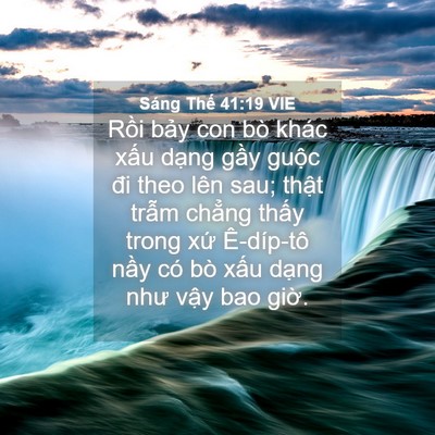 Picture 04 - Sáng Thế 41:19 VIE - Rồi bảy con bò khác xấu dạng gầy - Bible Verse Picture