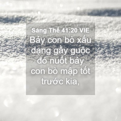 Picture 04 - Sáng Thế 41:20 VIE - Bảy con bò xấu dạng gầy guộc đó - Bible Verse Picture