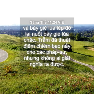 Picture 04 - Sáng Thế 41:24 VIE - và bảy gié lúa lép đó lại nuốt bảy - Bible Verse Picture