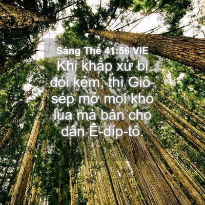 Picture 04 - Sáng Thế 41:56 VIE - Khi khắp xứ bị đói kém, thì Giô-sép - Bible Verse Picture
