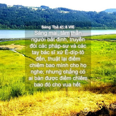 Picture 04 - Sáng Thế 41:8 VIE - Sáng mai, tâm thần người bất định, - Bible Verse Picture