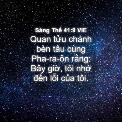 Picture 04 - Sáng Thế 41:9 VIE - Quan tửu chánh bèn tâu cùng Pha-ra-ôn - Bible Verse Picture