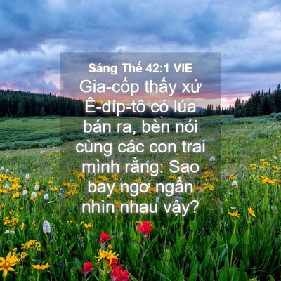 Picture 04 - Sáng Thế 42:1 VIE - Gia-cốp thấy xứ Ê-díp-tô có lúa bán - Bible Verse Picture