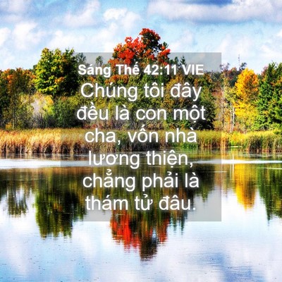 Picture 04 - Sáng Thế 42:11 VIE - Chúng tôi đây đều là con một cha, vốn - Bible Verse Picture