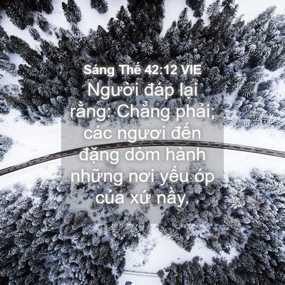 Picture 04 - Sáng Thế 42:12 VIE - Người đáp lại rằng: Chẳng phải; các - Bible Verse Picture