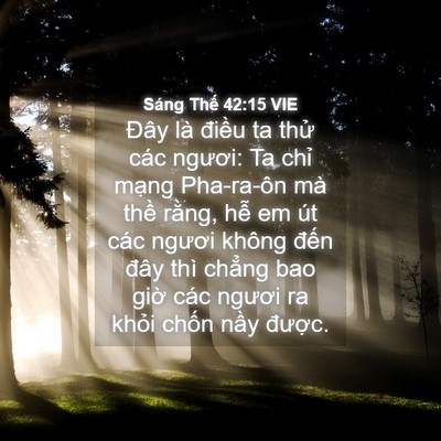 Picture 04 - Sáng Thế 42:15 VIE - Đây là điều ta thử các ngươi: Ta chỉ - Bible Verse Picture
