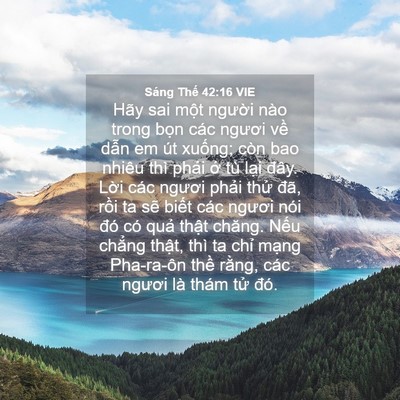 Picture 04 - Sáng Thế 42:16 VIE - Hãy sai một người nào trong bọn các - Bible Verse Picture