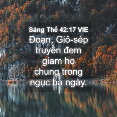 Picture 04 - Sáng Thế 42:17 VIE - Đoạn, Giô-sép truyền đem giam họ chung - Bible Verse Picture