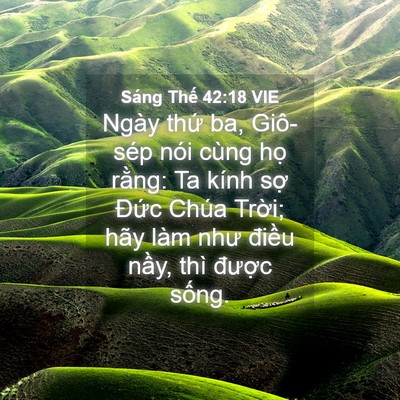 Picture 04 - Sáng Thế 42:18 VIE - Ngày thứ ba, Giô-sép nói cùng họ rằng: - Bible Verse Picture
