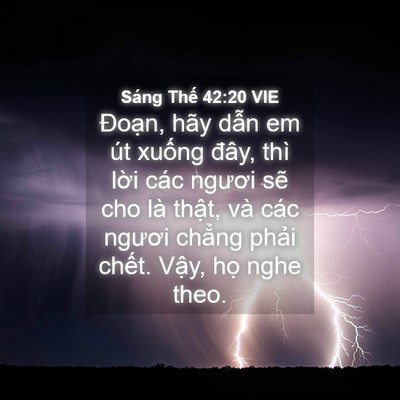 Picture 04 - Sáng Thế 42:20 VIE - Đoạn, hãy dẫn em út xuống đây, thì - Bible Verse Picture