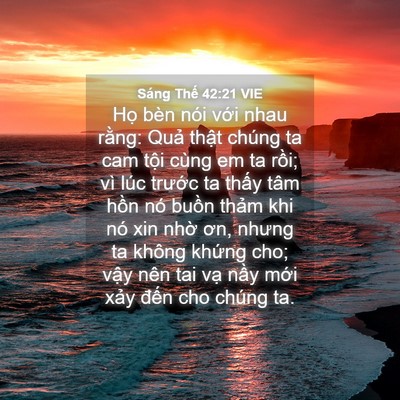 Picture 04 - Sáng Thế 42:21 VIE - Họ bèn nói với nhau rằng: Quả thật - Bible Verse Picture