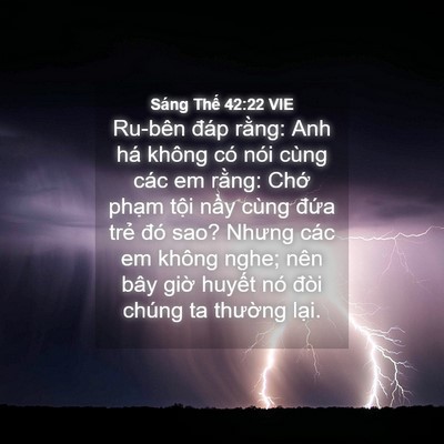 Picture 04 - Sáng Thế 42:22 VIE - Ru-bên đáp rằng: Anh há không có nói - Bible Verse Picture