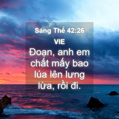 Picture 04 - Sáng Thế 42:26 VIE - Đoạn, anh em chất mấy bao lúa lên lưng - Bible Verse Picture