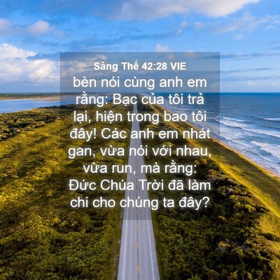 Picture 04 - Sáng Thế 42:28 VIE - bèn nói cùng anh em rằng: Bạc của tôi - Bible Verse Picture