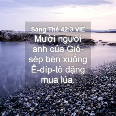 Picture 04 - Sáng Thế 42:3 VIE - Mười người anh của Giô-sép bèn xuống - Bible Verse Picture