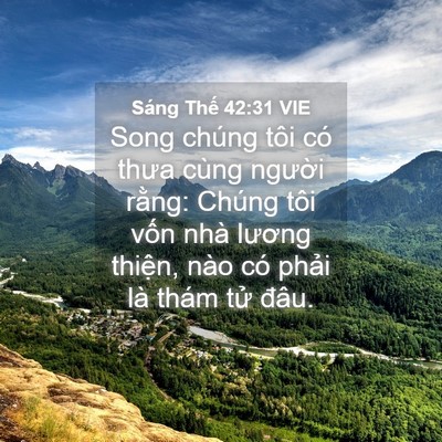 Picture 04 - Sáng Thế 42:31 VIE - Song chúng tôi có thưa cùng người rằng: - Bible Verse Picture