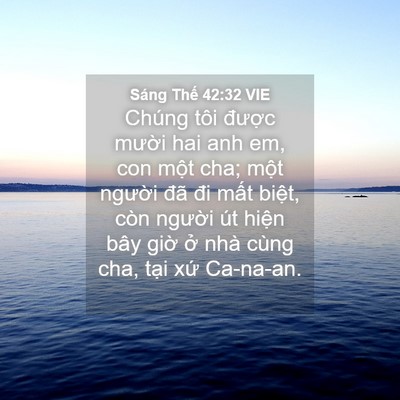 Picture 04 - Sáng Thế 42:32 VIE - Chúng tôi được mười hai anh em, con - Bible Verse Picture