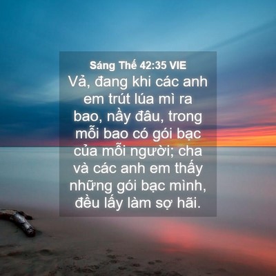 Picture 04 - Sáng Thế 42:35 VIE - Vả, đang khi các anh em trút lúa mì ra - Bible Verse Picture