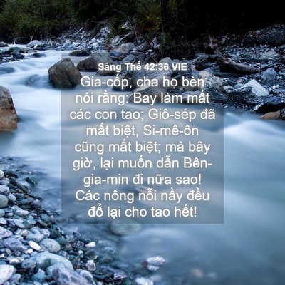 Picture 04 - Sáng Thế 42:36 VIE - Gia-cốp, cha họ bèn nói rằng: Bay làm - Bible Verse Picture