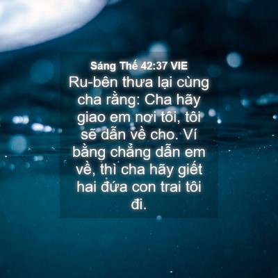 Picture 04 - Sáng Thế 42:37 VIE - Ru-bên thưa lại cùng cha rằng: Cha hãy - Bible Verse Picture