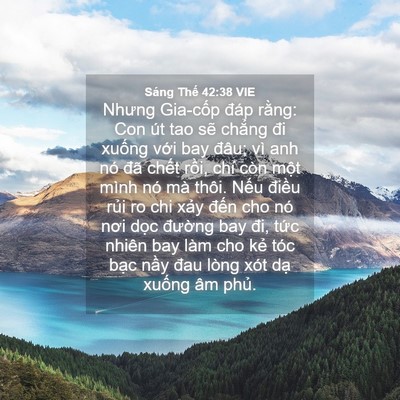 Picture 04 - Sáng Thế 42:38 VIE - Nhưng Gia-cốp đáp rằng: Con út tao sẽ - Bible Verse Picture
