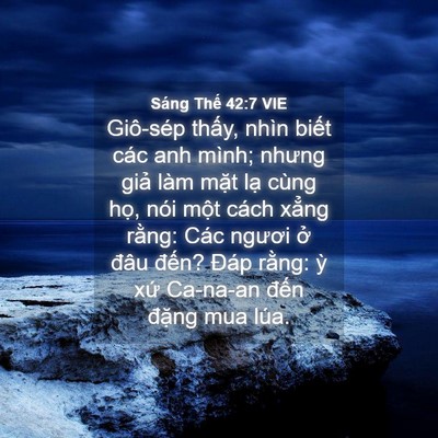 Picture 04 - Sáng Thế 42:7 VIE - Giô-sép thấy, nhìn biết các anh mình; - Bible Verse Picture