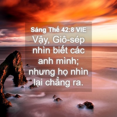 Picture 04 - Sáng Thế 42:8 VIE - Vậy, Giô-sép nhìn biết các anh mình; - Bible Verse Picture