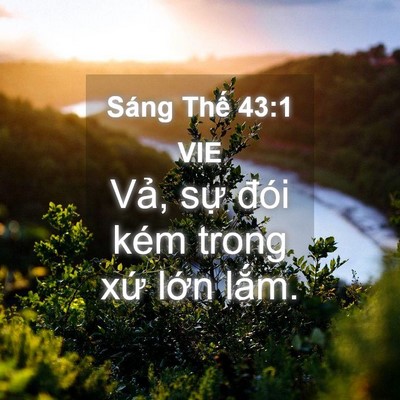 Picture 04 - Sáng Thế 43:1 VIE - Vả, sự đói kém trong xứ lớn - Bible Verse Picture