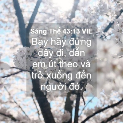 Picture 04 - Sáng Thế 43:13 VIE - Bay hãy đứng dậy đi, dẫn em út theo và - Bible Verse Picture