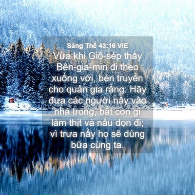Picture 04 - Sáng Thế 43:16 VIE - Vừa khi Giô-sép thấy Bên-gia-min đi theo - Bible Verse Picture