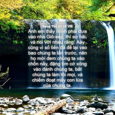Picture 04 - Sáng Thế 43:18 VIE - Anh em thấy mình phải đưa vào nhà - Bible Verse Picture