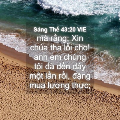 Picture 04 - Sáng Thế 43:20 VIE - mà rằng: Xin chúa tha lỗi cho! anh em - Bible Verse Picture
