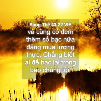 Picture 04 - Sáng Thế 43:22 VIE - và cũng có đem thêm số bạc nữa đặng - Bible Verse Picture