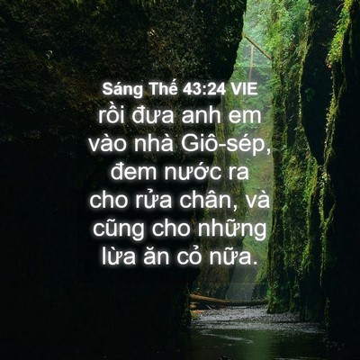 Picture 04 - Sáng Thế 43:24 VIE - rồi đưa anh em vào nhà Giô-sép, đem - Bible Verse Picture